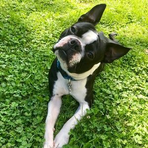 Meet your Posher, Brenda